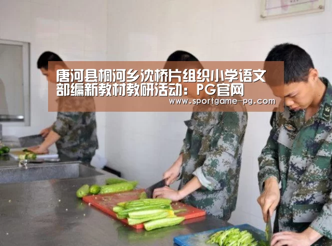 唐河县桐河乡沈桥片组织小学语文部编新教材教研活动:PG官网(图1) PG官网