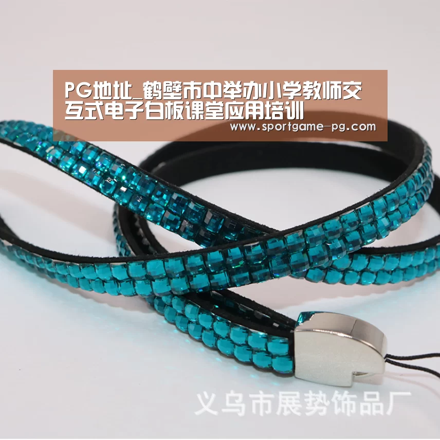 PG地址_鹤壁市中举办小学教师交互式电子白板课堂应用培训(图2) PG地址