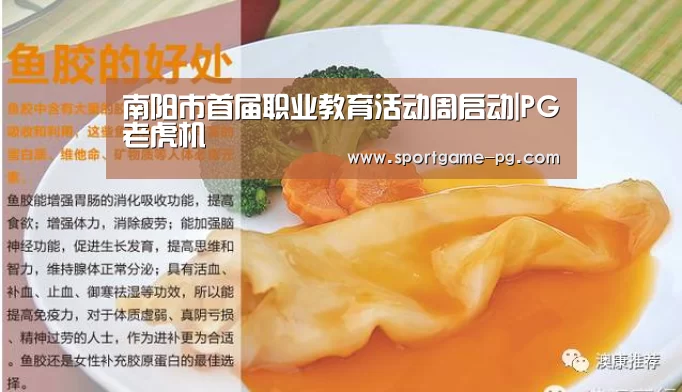 南阳市首届职业教育活动周启动|PG老虎机(图1) PG地址